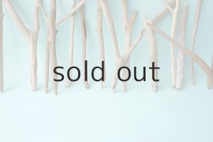 画像6: 小枝流木セット