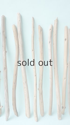 画像3: 棒流木セット