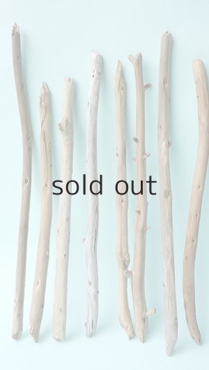 画像2: 棒流木セット