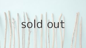 画像6: 棒流木セット