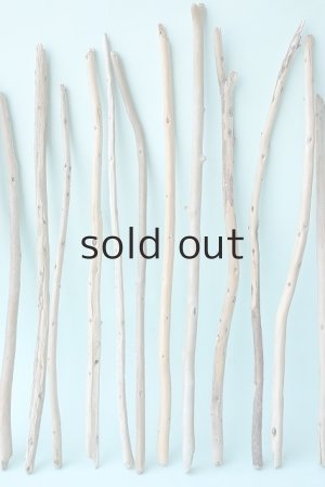 画像3: 棒流木セット