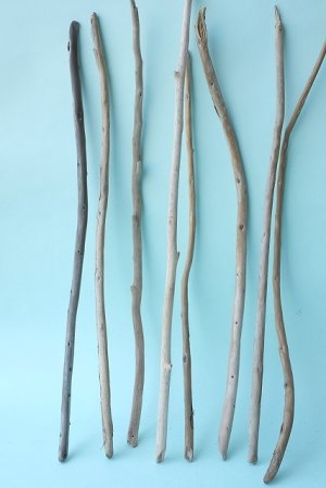 画像2: 棒流木セット