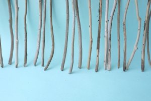 画像5: 棒流木セット