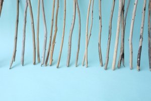 画像5: 棒流木・極細セット