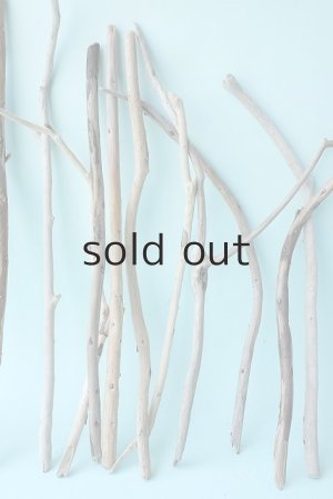 画像3: 小枝流木セット