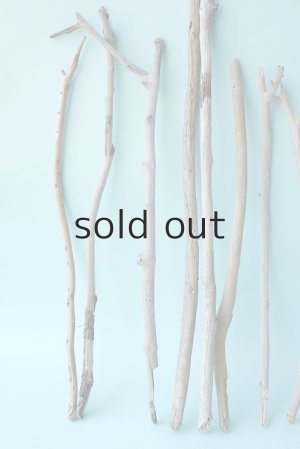 画像2: 小枝流木セット