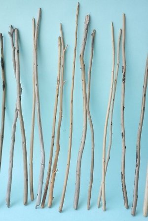 画像3: 棒流木・極細セット