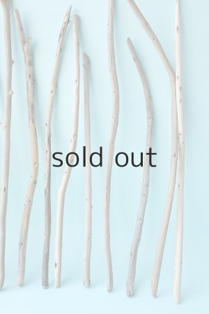 画像4: 棒流木セット