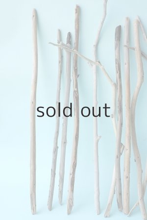 画像2: 小枝流木セット