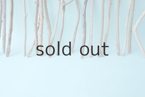 画像6: 小枝流木セット