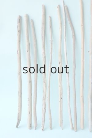 画像2: 棒流木セット