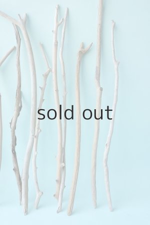 画像5: 小枝流木セット