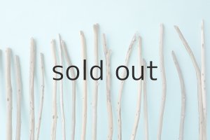 画像6: 棒流木セット