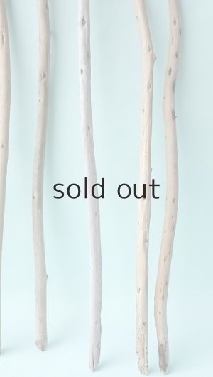 画像3: 棒流木セット