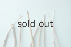 画像6: 棒流木セット