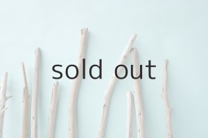 画像6: 棒流木セット