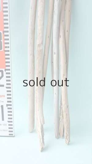 画像7: 棒流木セット