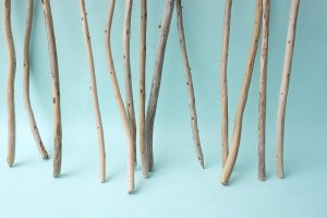 画像4: 棒流木セット