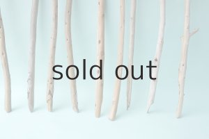 画像4: 棒流木セット