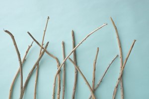 画像6: 棒流木セット