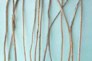 画像5: 棒流木セット