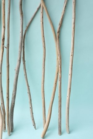 画像3: 棒流木セット