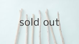 画像6: 棒流木セット