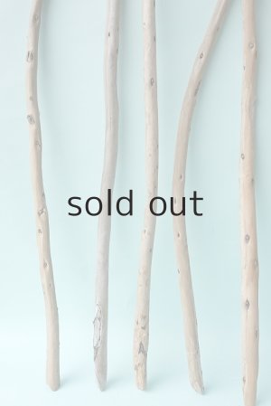 画像2: 棒流木セット