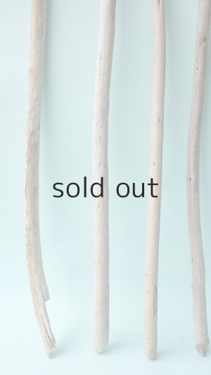 画像2: 棒流木セット