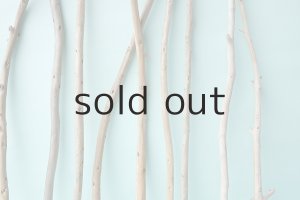 画像5: 棒流木セット