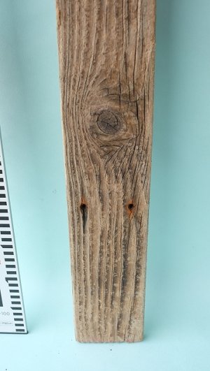 画像5: 板流木