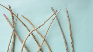 画像4: 棒流木セット