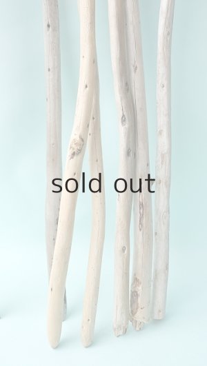 画像7: 棒流木セット