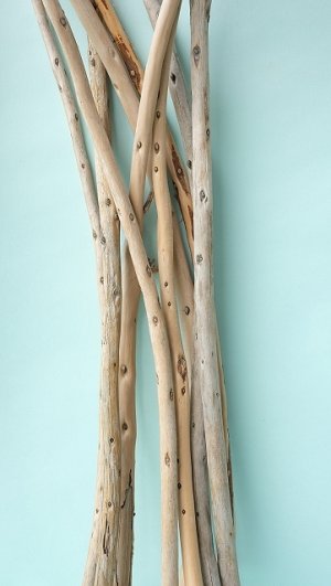 画像8: 棒流木セット