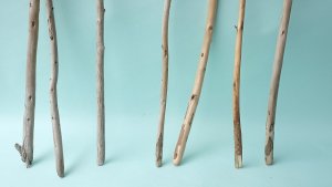 画像2: 棒流木セット