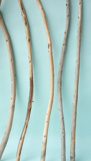 画像6: 棒流木セット