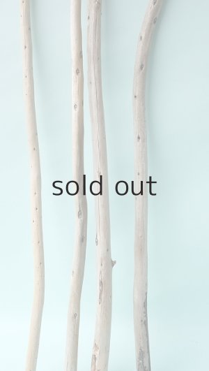 画像5: 棒流木セット