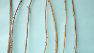 画像3: 棒流木セット