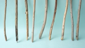 画像2: 棒流木セット