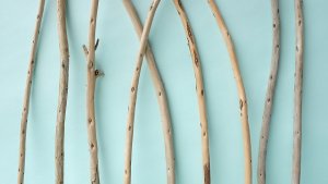 画像3: 棒流木セット