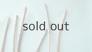 画像4: 棒流木セット