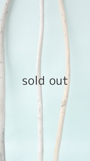 画像6: 棒流木セット