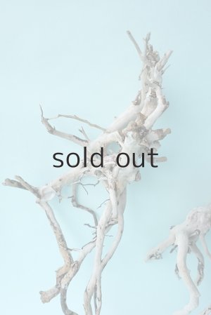 画像3: 流木根セット