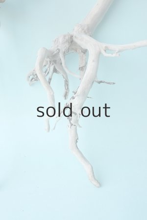 画像4: 流木根セット