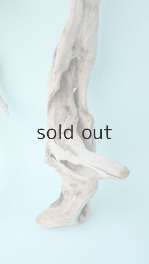 画像3: 流木根セット