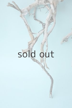 画像2: 流木根セット