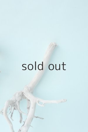 画像5: 流木根セット