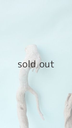 画像5: 流木根セット