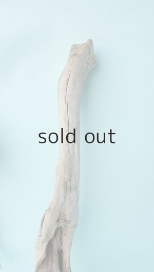 画像4: 流木根セット