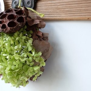画像6: Dry plants for decor ドライアジサイミニオブジェ（壁掛け可）
